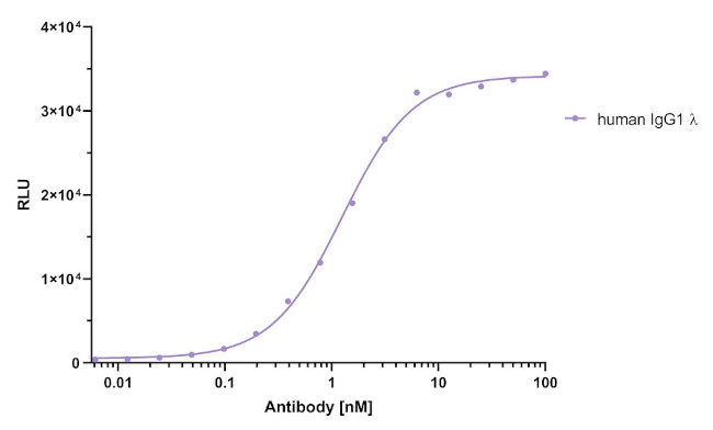 Human IgG/rabbit IgG, Fc-specific VHH Secondary Antibody in ELISA (ELISA)
