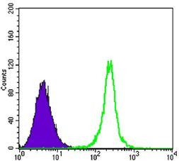 SIRT1 Antibody in Flow Cytometry (Flow)