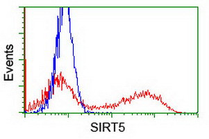 SIRT5 Antibody in Flow Cytometry (Flow)