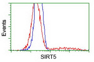 SIRT5 Antibody in Flow Cytometry (Flow)