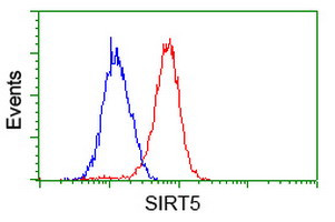 SIRT5 Antibody in Flow Cytometry (Flow)