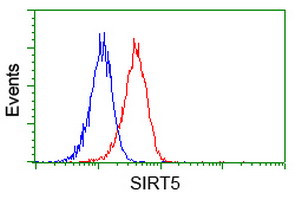 SIRT5 Antibody in Flow Cytometry (Flow)