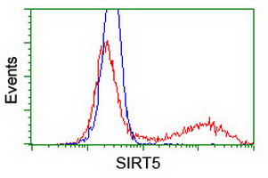 SIRT5 Antibody in Flow Cytometry (Flow)