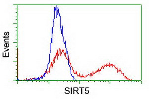 SIRT5 Antibody in Flow Cytometry (Flow)