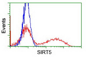 SIRT5 Antibody in Flow Cytometry (Flow)