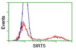 SIRT5 Antibody in Flow Cytometry (Flow)