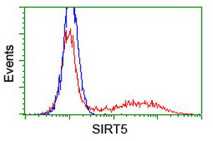 SIRT5 Antibody in Flow Cytometry (Flow)