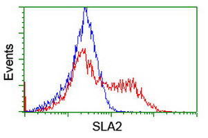 SLA2 Antibody in Flow Cytometry (Flow)