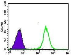 GLUT4 Antibody in Flow Cytometry (Flow)