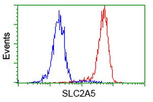 SLC2A5 Antibody in Flow Cytometry (Flow)