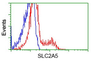 SLC2A5 Antibody in Flow Cytometry (Flow)