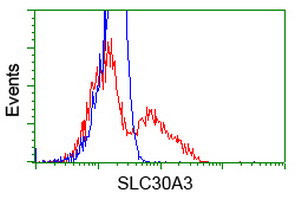 SLC30A3 Antibody in Flow Cytometry (Flow)