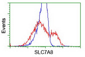 SLC7A8 Antibody in Flow Cytometry (Flow)