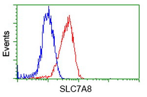 SLC7A8 Antibody in Flow Cytometry (Flow)