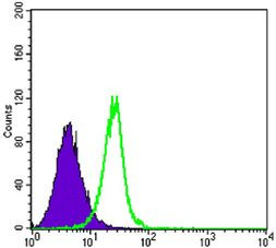 SMAD4 Antibody in Flow Cytometry (Flow)