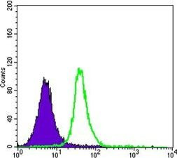 SMAD5 Antibody in Flow Cytometry (Flow)