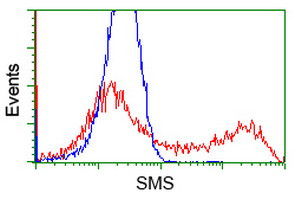 SMS Antibody in Flow Cytometry (Flow)