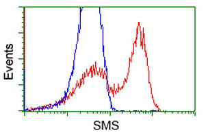 SMS Antibody in Flow Cytometry (Flow)