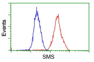 SMS Antibody in Flow Cytometry (Flow)