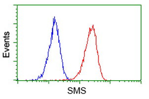 SMS Antibody in Flow Cytometry (Flow)