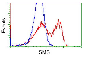 SMS Antibody in Flow Cytometry (Flow)