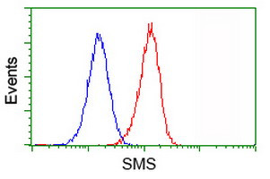 SMS Antibody in Flow Cytometry (Flow)