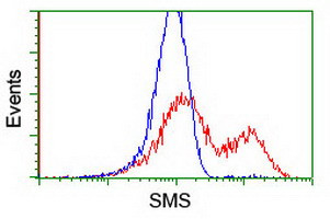 SMS Antibody in Flow Cytometry (Flow)