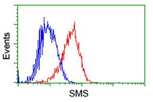 SMS Antibody in Flow Cytometry (Flow)