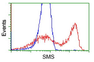 SMS Antibody in Flow Cytometry (Flow)