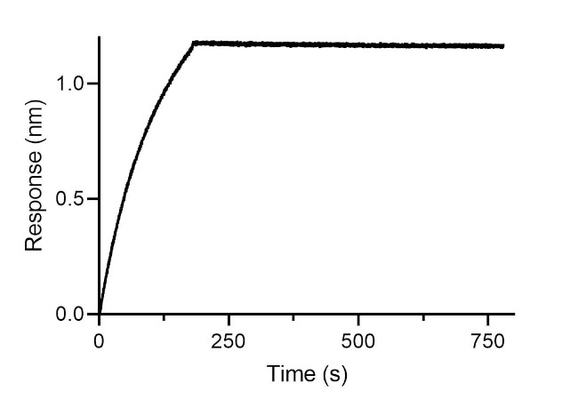 Mouse IgE VHH Secondary Antibody in Functional Assay (FN)