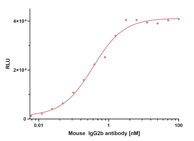 Mouse IgG2b, Fc-specific VHH Secondary Antibody in ELISA (ELISA)
