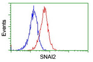 SNAI2 Antibody in Flow Cytometry (Flow)