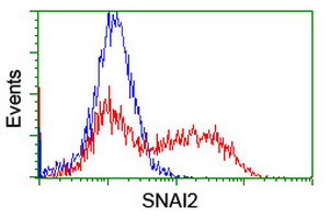 SNAI2 Antibody in Flow Cytometry (Flow)