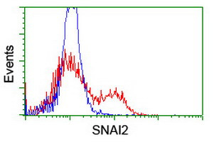 SNAI2 Antibody in Flow Cytometry (Flow)