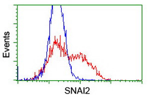 SNAI2 Antibody in Flow Cytometry (Flow)