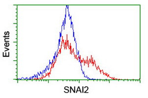 SNAI2 Antibody in Flow Cytometry (Flow)