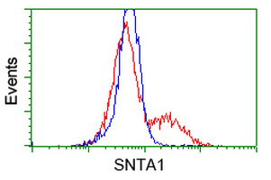 SNTA1 Antibody in Flow Cytometry (Flow)