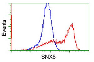 SNX8 Antibody in Flow Cytometry (Flow)