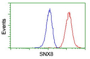 SNX8 Antibody in Flow Cytometry (Flow)