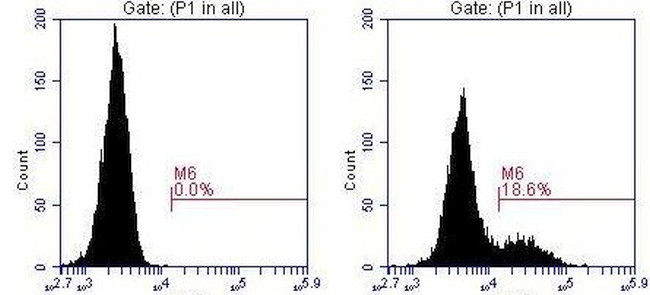 SNX9 Antibody in Flow Cytometry (Flow)