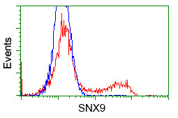 SNX9 Antibody in Flow Cytometry (Flow)