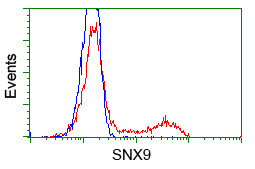 SNX9 Antibody in Flow Cytometry (Flow)