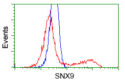 SNX9 Antibody in Flow Cytometry (Flow)