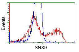 SNX9 Antibody in Flow Cytometry (Flow)