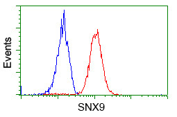 SNX9 Antibody in Flow Cytometry (Flow)