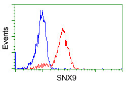 SNX9 Antibody in Flow Cytometry (Flow)