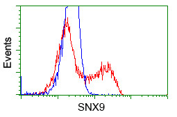 SNX9 Antibody in Flow Cytometry (Flow)