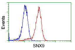 SNX9 Antibody in Flow Cytometry (Flow)