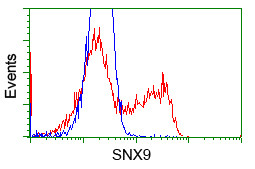 SNX9 Antibody in Flow Cytometry (Flow)