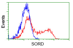 SORD Antibody in Flow Cytometry (Flow)